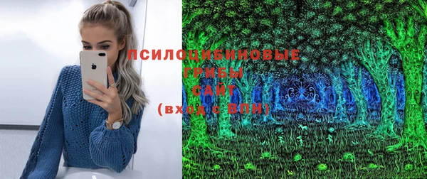 мдпв Зерноград