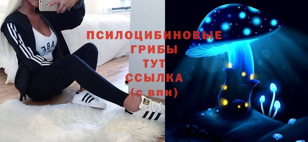 ГАЛЛЮЦИНОГЕННЫЕ ГРИБЫ Зеленодольск