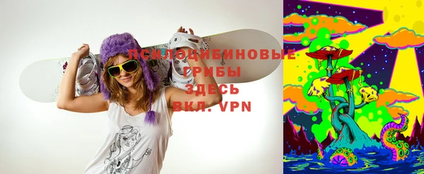 ГАЛЛЮЦИНОГЕННЫЕ ГРИБЫ Зеленодольск